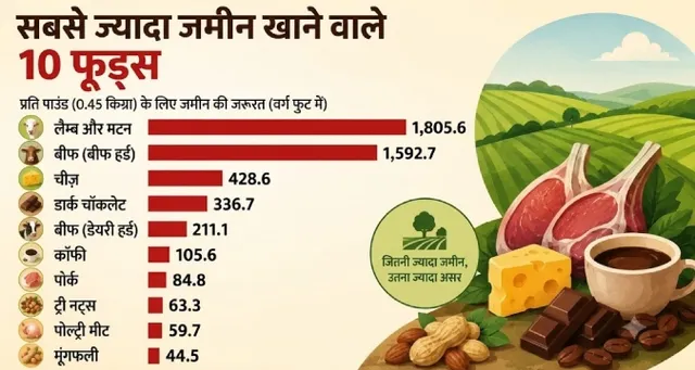 आपकी थाली का भोजन धरती पर कितना डाल रहा है दबाव? लैंब और मटन निकले जमीन की खपत में सबसे आगे
