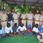 Andhra Pradesh Police seizing 87 logs during Red Sanders Smuggling crackdown operation.